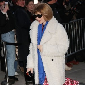 Anna Wintour