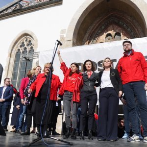 Čelnici stranaka koje su organizirale prosvjed