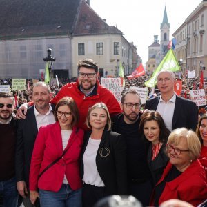 Čelnici stranaka koje su organizirale prosvjed