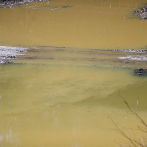 Čišćenje jezera oko Trakošćana od mulja