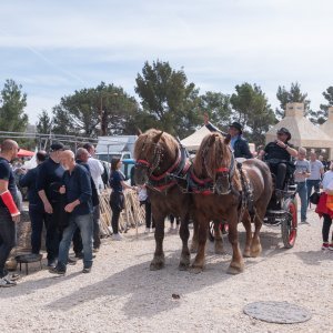 Održan je tradicionalni benkovački sajam