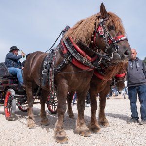 Održan je tradicionalni benkovački sajam