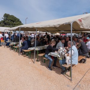 Održan je tradicionalni benkovački sajam