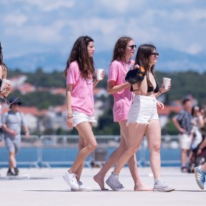 Norijada Zadar