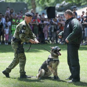 Pokazne vježbe sposobnosti Hrvatske vojske i policije povodom Dana državnosti i Dana vojske