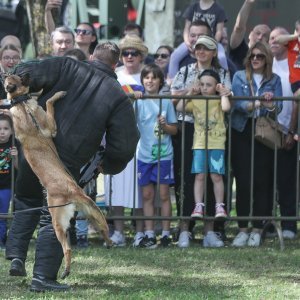 Pokazne vježbe sposobnosti Hrvatske vojske i policije povodom Dana državnosti i Dana vojske