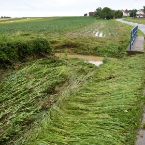 Poplave u Rašenici