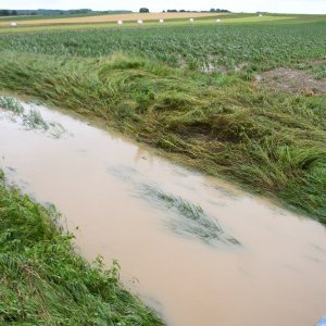 Poplave u Rašenici