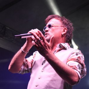 Zlatan Stipišić Gibonni