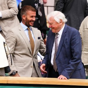 David Beckham i David Attenborough