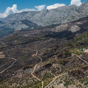 Biokovo nakon požara