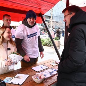 Zagrebačka špica