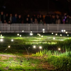 Zadnji dan Festivala svjetla