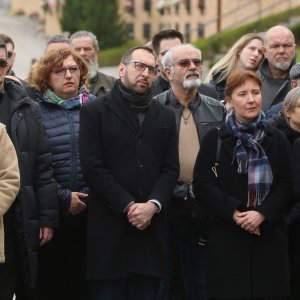 Tomislav Tomašević, Slavko Nedić