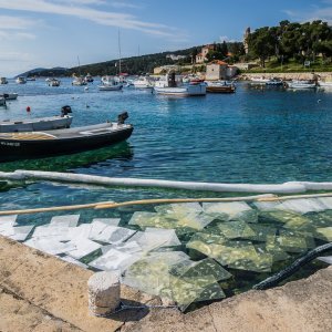 Onečišćenje mora na Hvaru