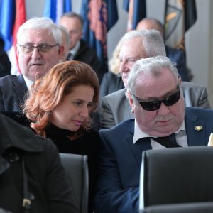 Vladimir Šeks