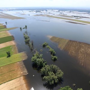 11 godina od katastrofalnih poplava u Gunji