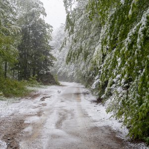 Snijeg pao u Nacionalnom parku Sjeverni Velebit