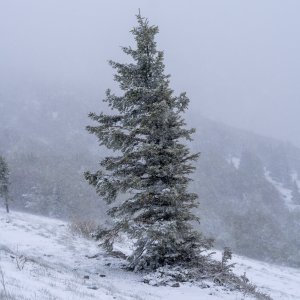 Snijeg pao u Nacionalnom parku Sjeverni Velebit