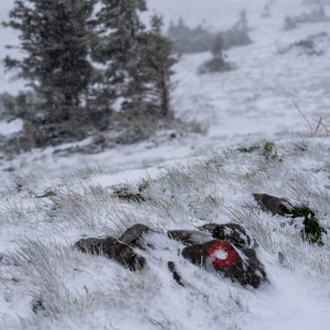 Snijeg pao u Nacionalnom parku Sjeverni Velebit