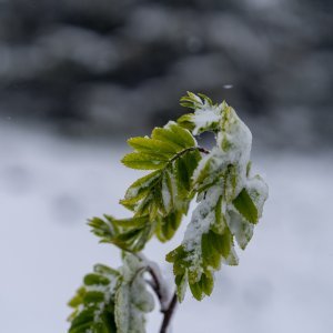 Snijeg pao u Nacionalnom parku Sjeverni Velebit