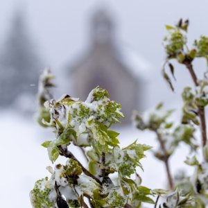 Snijeg pao u Nacionalnom parku Sjeverni Velebit