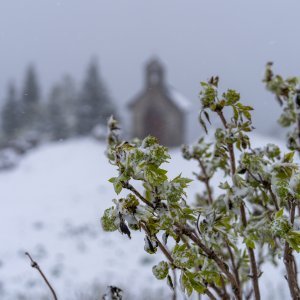 Snijeg pao u Nacionalnom parku Sjeverni Velebit