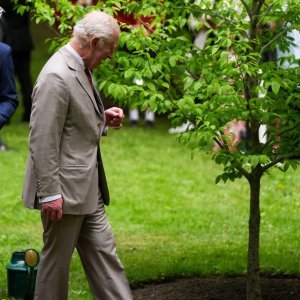 Kralj Charles III.