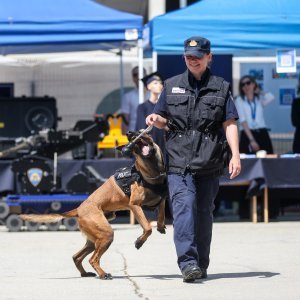 Dan otvorenih vrata Policijske akademije