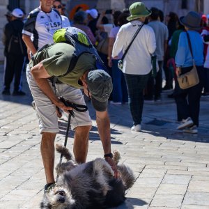 Stradun, Dubrovnik