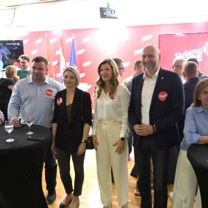 Biljana Borzan, Joško Klisović