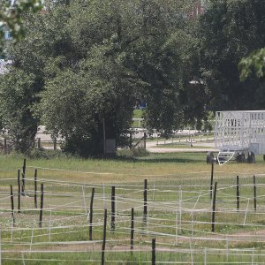 Pripreme za Thompsonov koncert na Hipodromu