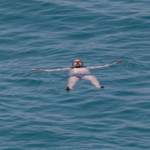 Dubrovnik: Pune plaže i turističke gužve u gradu