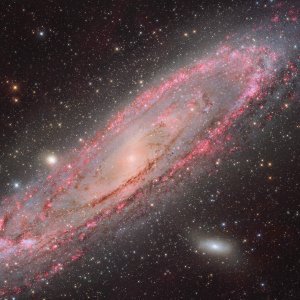 Kategorija Galaksije: Eight Panel Mosaic of M31 Stars, Nebulae and Central Bulge
