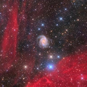 Kategorija Galaksije: NGC 2997 The Antlia Cabbage Galaxy
