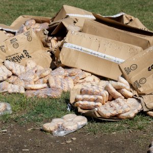 Sendviči i peciva na Bundeku nakon Thompsonova koncerta