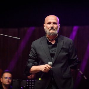 Damir Urban