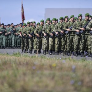 Uvježbavanje pješačkih postroja za mimohod