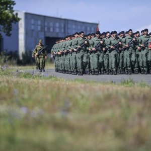 Uvježbavanje pješačkih postroja za mimohod