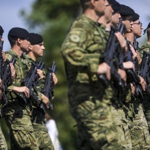 Uvježbavanje pješačkih postroja za mimohod
