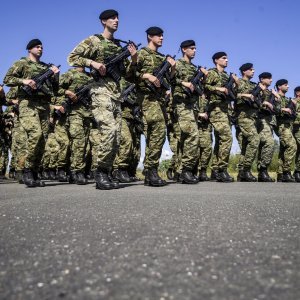 Uvježbavanje pješačkih postroja za mimohod