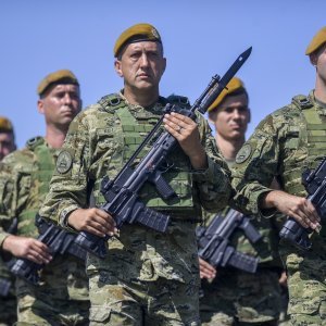 Uvježbavanje pješačkih postroja za mimohod