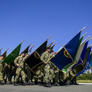 Uvježbavanje pješačkih postroja za mimohod