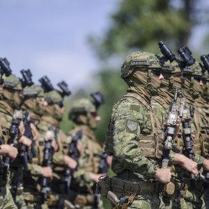Uvježbavanje pješačkih postroja za mimohod