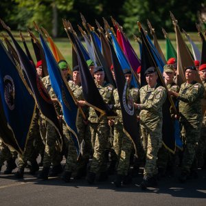 Uvježbavanje pješačkih postroja za mimohod