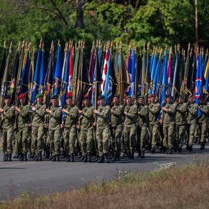Uvježbavanje pješačkih postroja za mimohod
