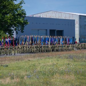 Uvježbavanje pješačkih postroja za mimohod