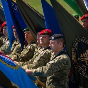 Uvježbavanje pješačkih postroja za mimohod