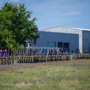 Uvježbavanje pješačkih postroja za mimohod