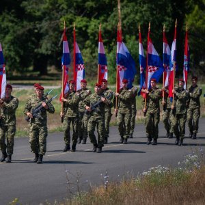Uvježbavanje pješačkih postroja za mimohod